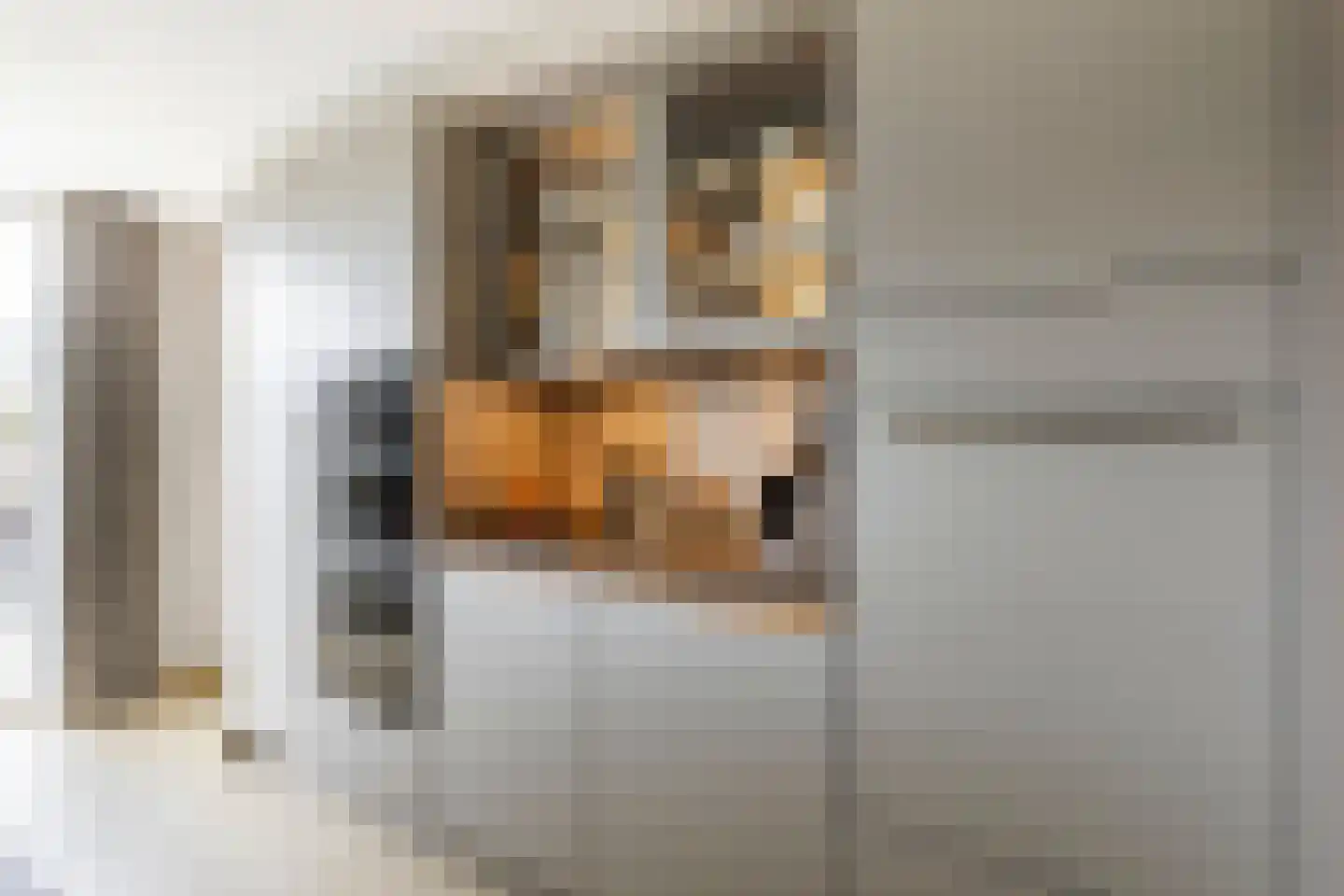Batelier 18 Sliedrecht thumbnail 13