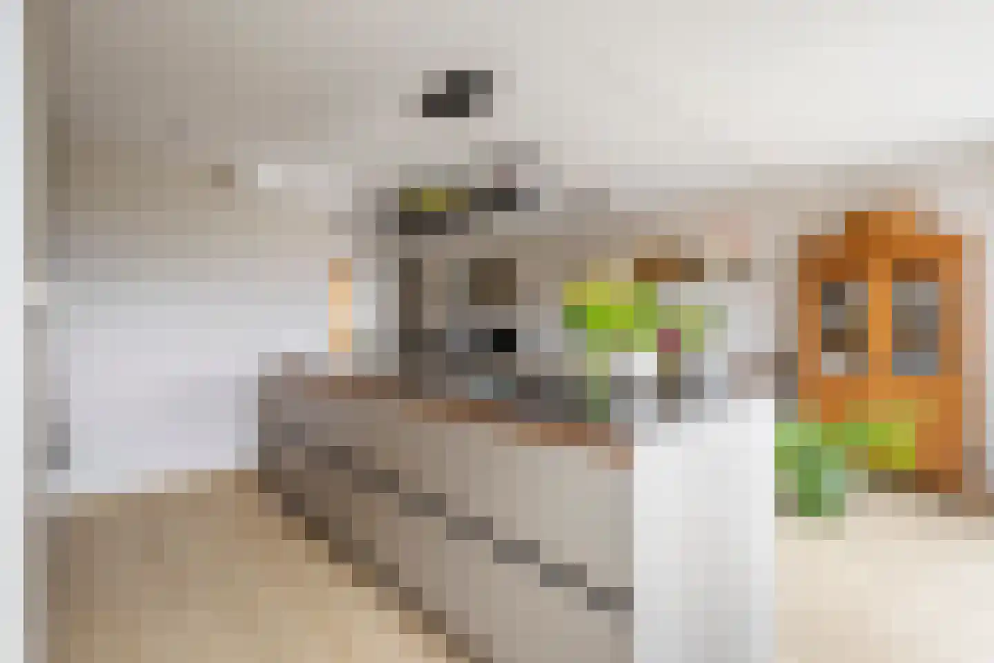 Batelier 18 Sliedrecht thumbnail 15