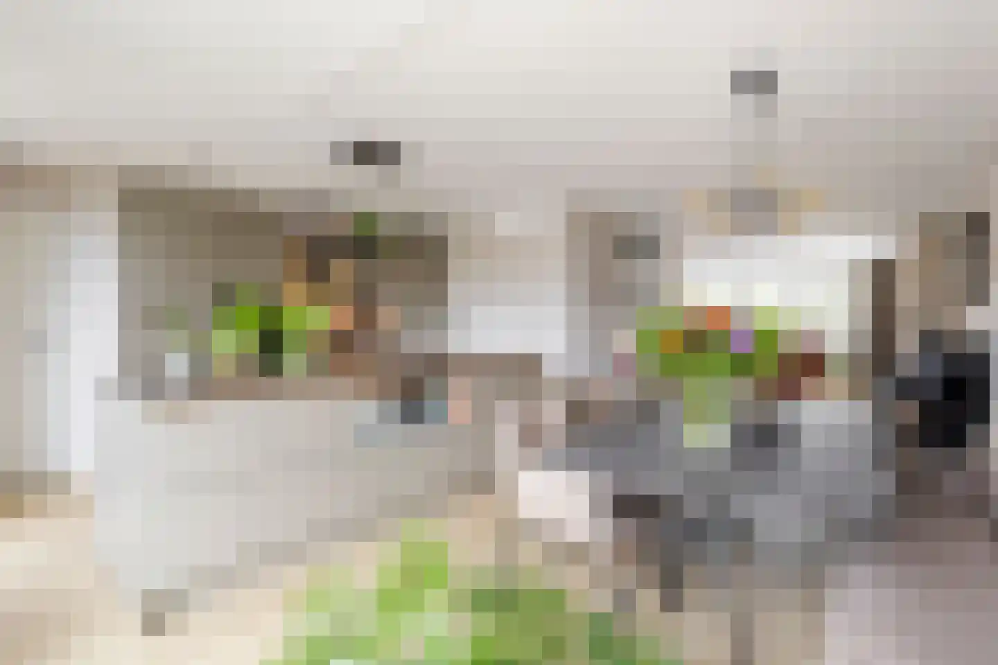 Batelier 18 Sliedrecht thumbnail 16