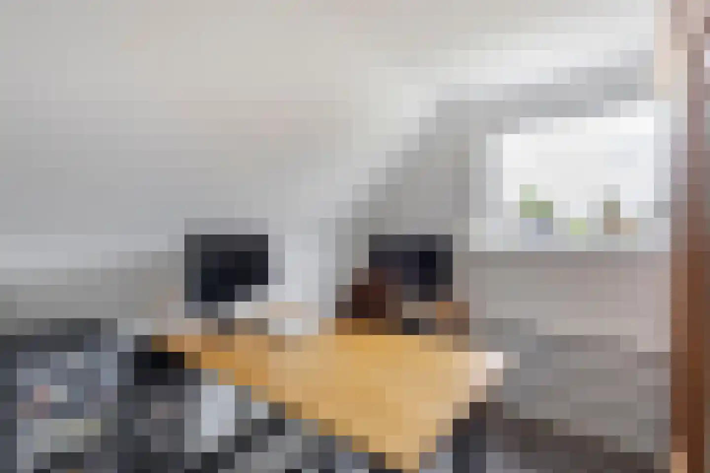 Batelier 18 Sliedrecht thumbnail 26