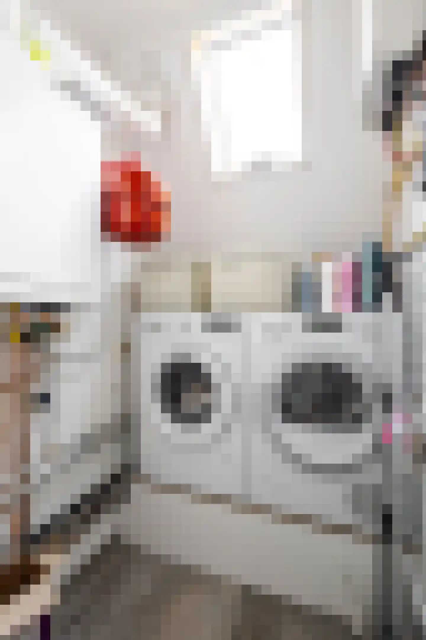 Batelier 18 Sliedrecht thumbnail 30