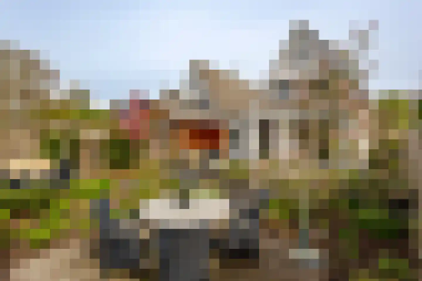 Batelier 18 Sliedrecht thumbnail 36