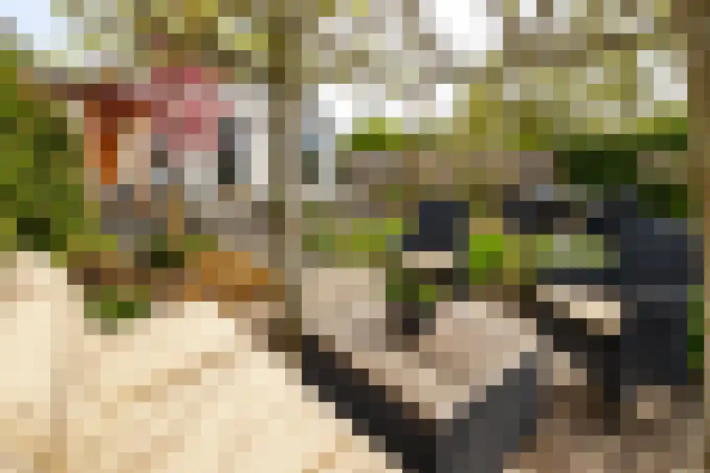 Batelier 18 Sliedrecht thumbnail 40