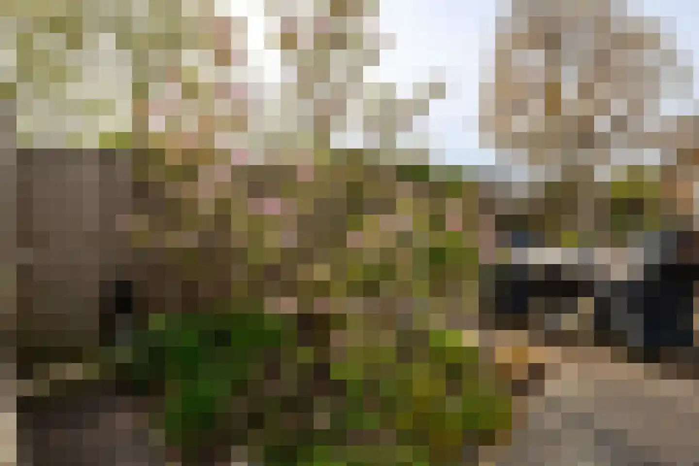 Batelier 18 Sliedrecht thumbnail 41