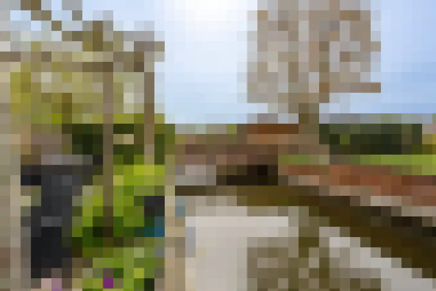 Batelier 18 Sliedrecht thumbnail 43