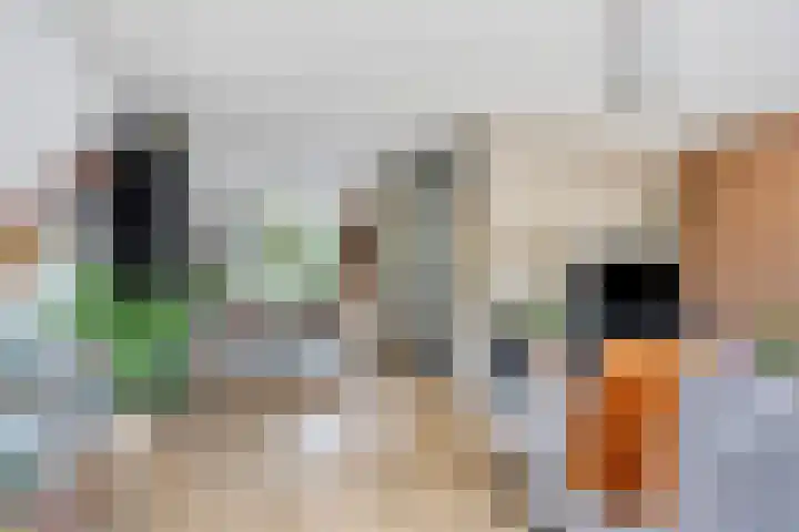 Batelier 22 Sliedrecht thumbnail 10