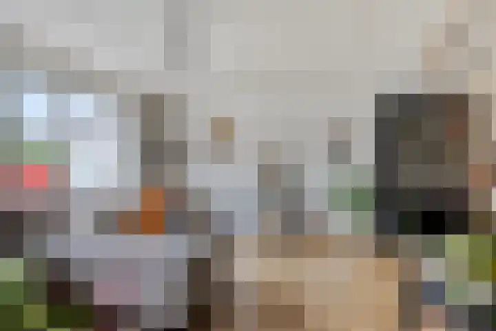 Batelier 22 Sliedrecht thumbnail 12