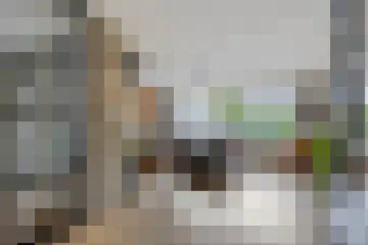 Batelier 22 Sliedrecht thumbnail 13