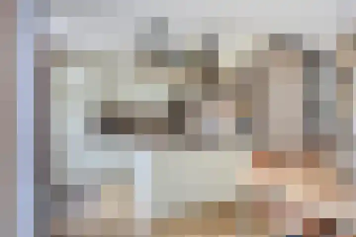 Batelier 22 Sliedrecht thumbnail 16
