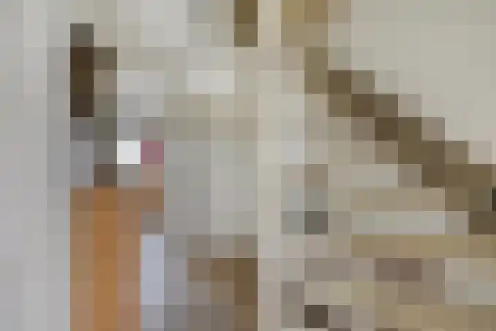 Batelier 22 Sliedrecht thumbnail 21