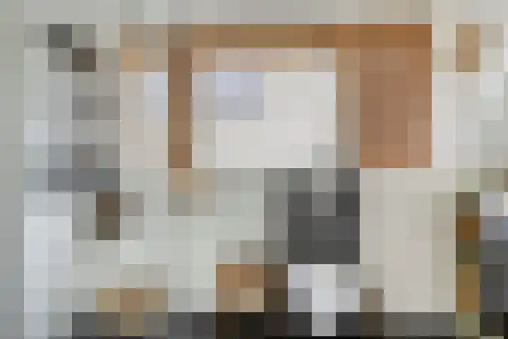 Batelier 22 Sliedrecht thumbnail 22
