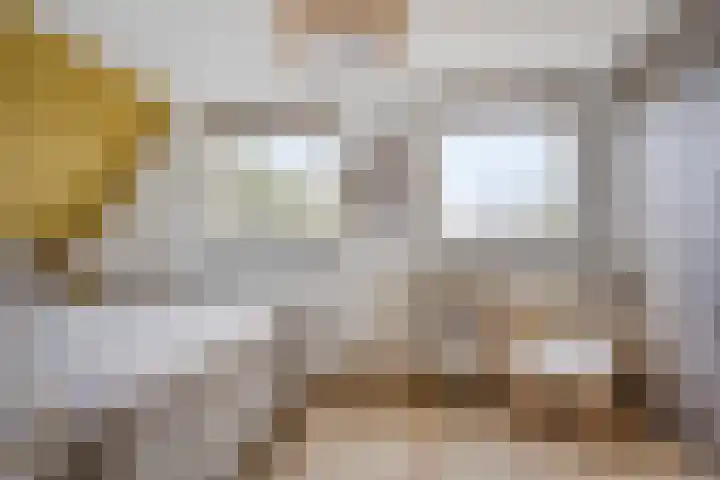 Batelier 22 Sliedrecht thumbnail 24