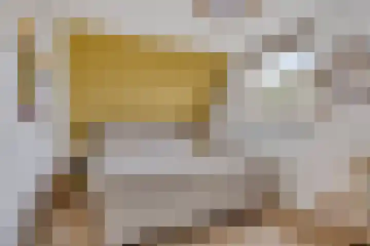 Batelier 22 Sliedrecht thumbnail 25