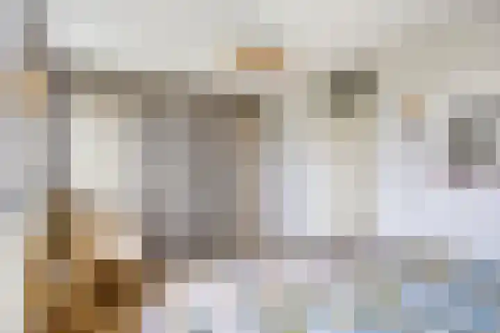 Batelier 22 Sliedrecht thumbnail 26