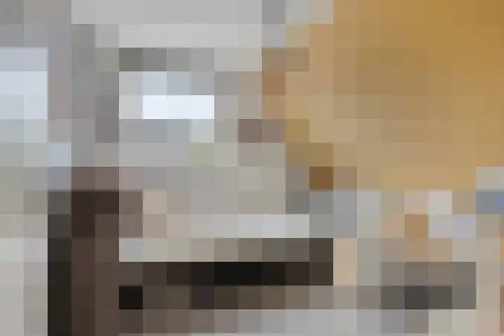 Batelier 22 Sliedrecht thumbnail 27