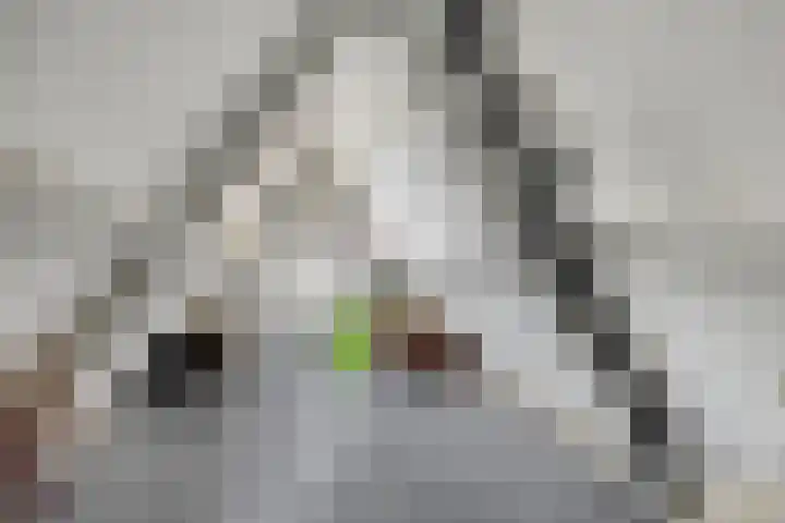 Batelier 22 Sliedrecht thumbnail 32