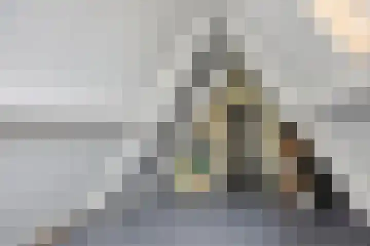 Batelier 22 Sliedrecht thumbnail 33