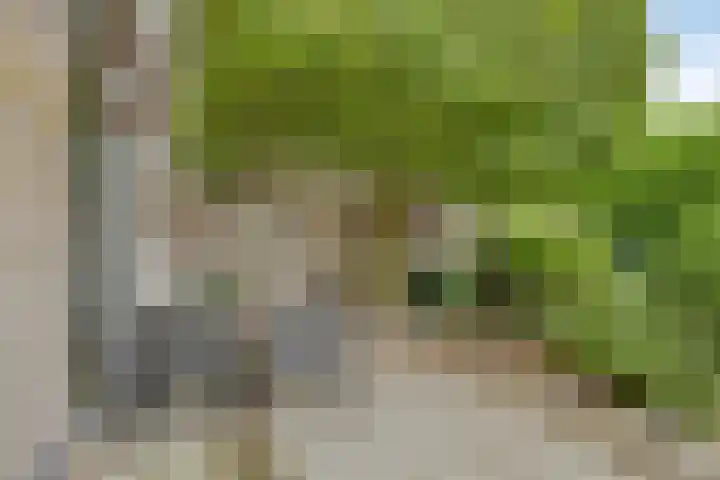 Batelier 22 Sliedrecht thumbnail 34