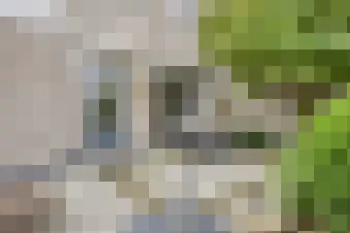 Batelier 22 Sliedrecht thumbnail 36