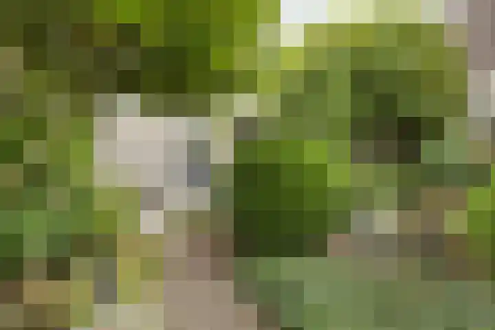 Batelier 22 Sliedrecht thumbnail 38