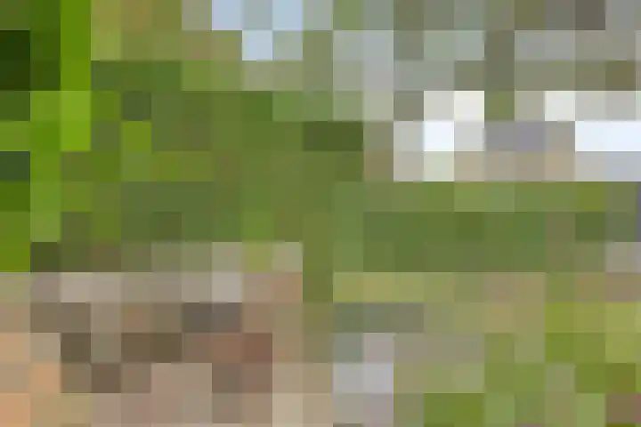 Batelier 22 Sliedrecht thumbnail 40