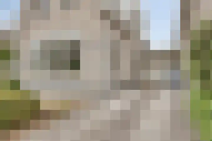 Batelier 22 Sliedrecht thumbnail 7