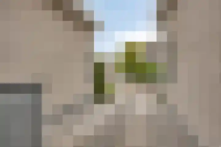 Batelier 22 Sliedrecht thumbnail 8