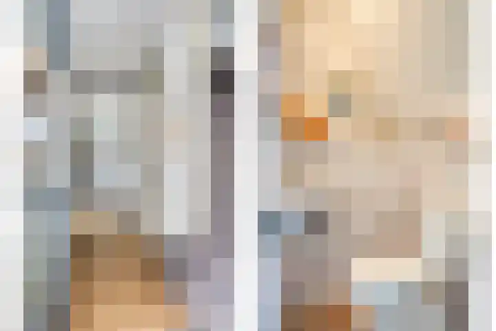 Batelier 22 Sliedrecht thumbnail 9