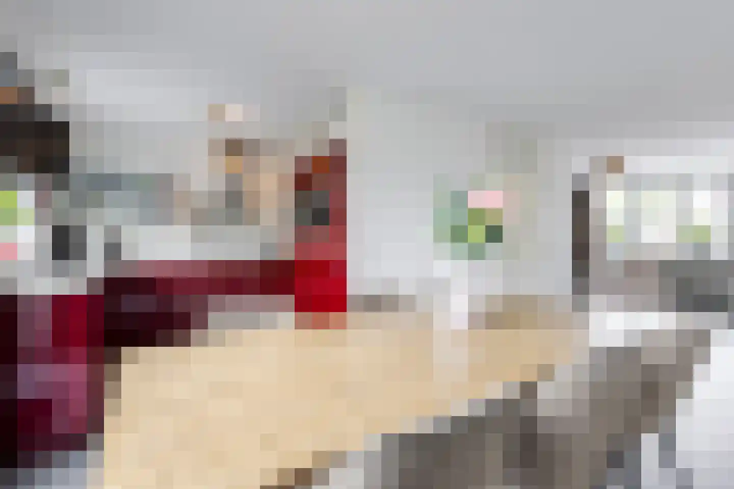 Batelier 32 Sliedrecht thumbnail 10