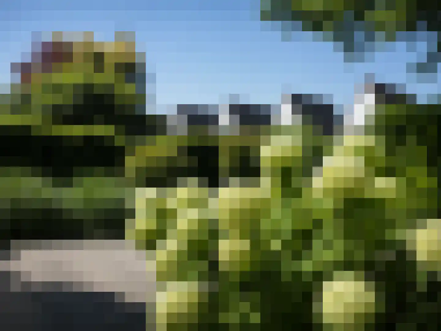 Batelier 32 Sliedrecht thumbnail 37