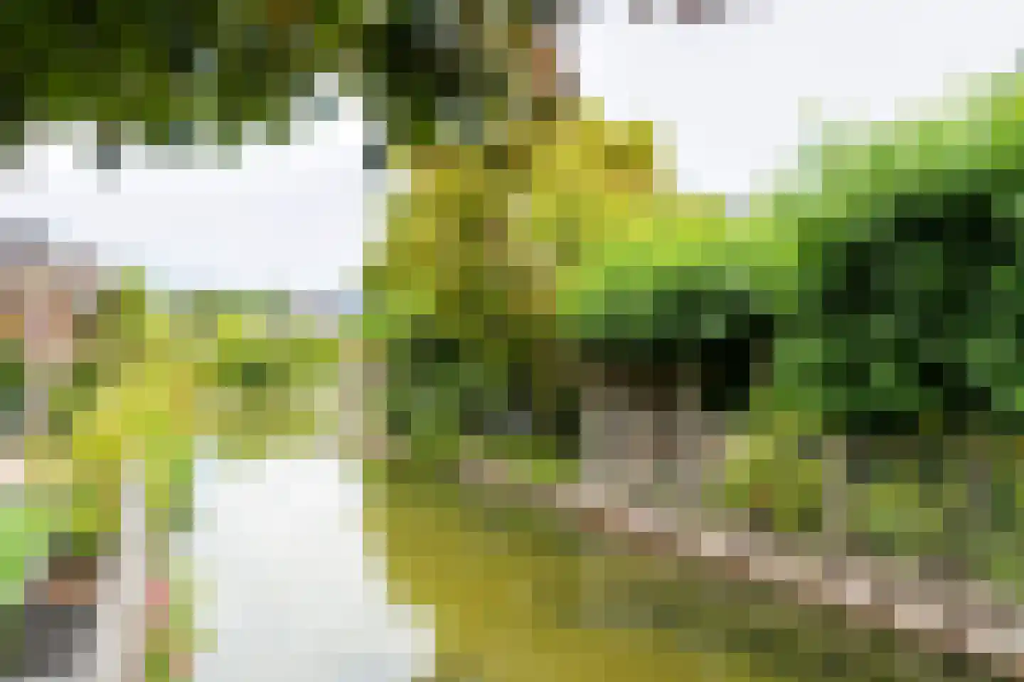 Batelier 32 Sliedrecht thumbnail 39