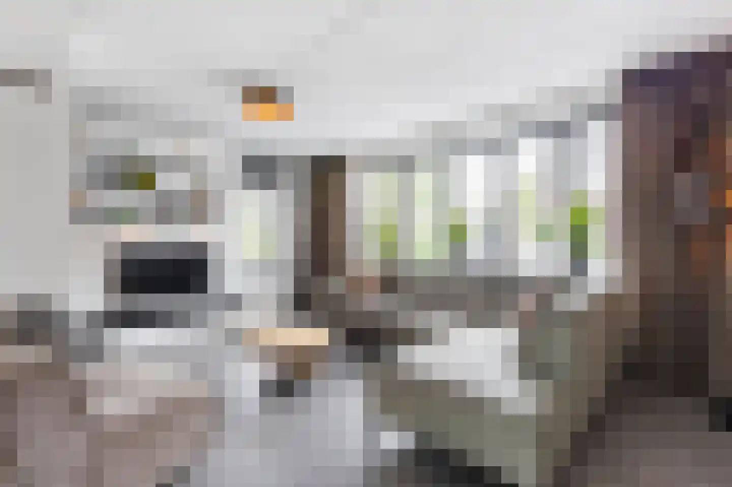 Batelier 32 Sliedrecht thumbnail 4