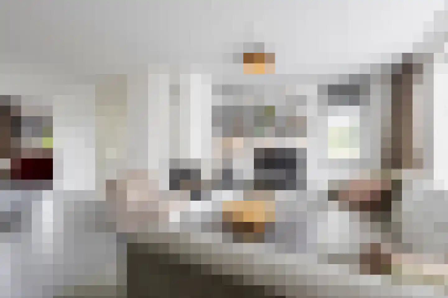 Batelier 32 Sliedrecht thumbnail 7