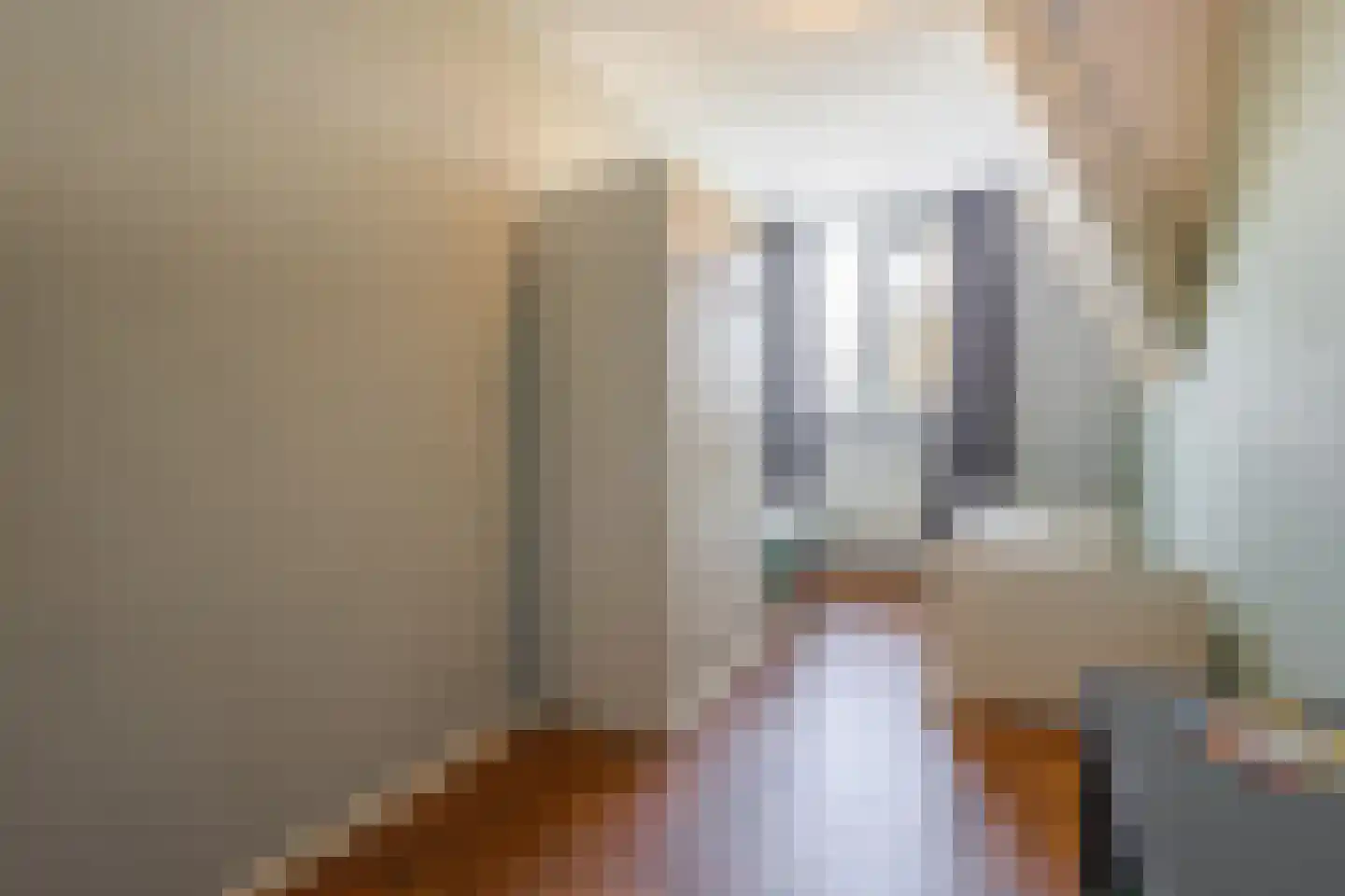 Batelier 55 Sliedrecht thumbnail 22