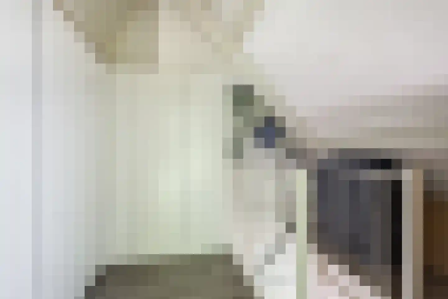Batelier 55 Sliedrecht thumbnail 26
