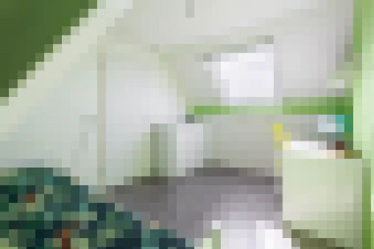 Batelier 55 Sliedrecht thumbnail 27