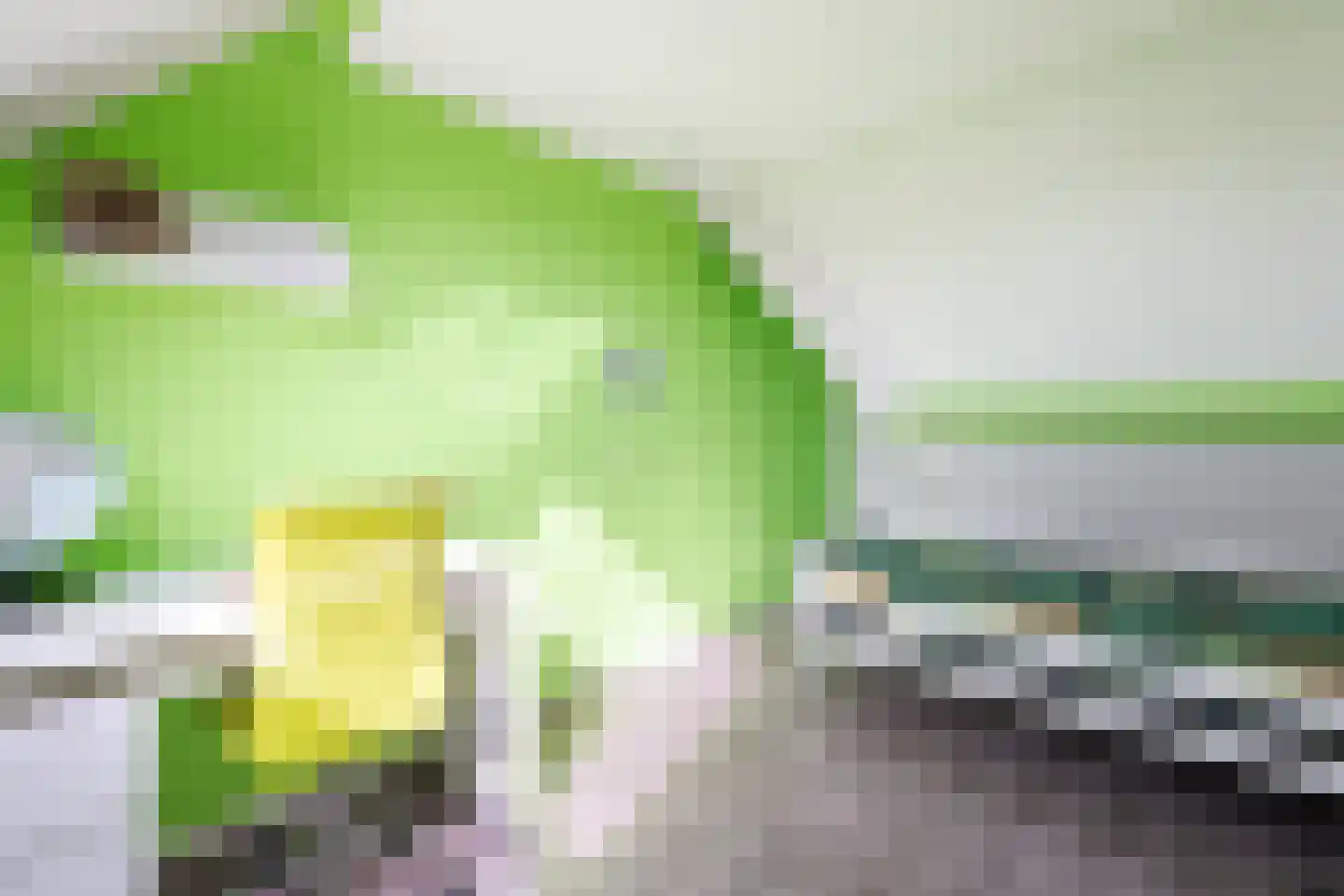 Batelier 55 Sliedrecht thumbnail 28