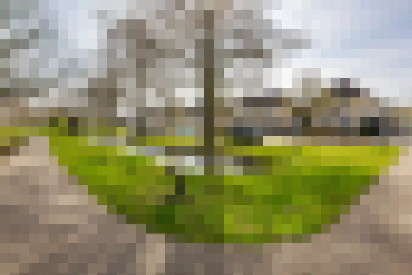 Batelier 55 Sliedrecht thumbnail 35