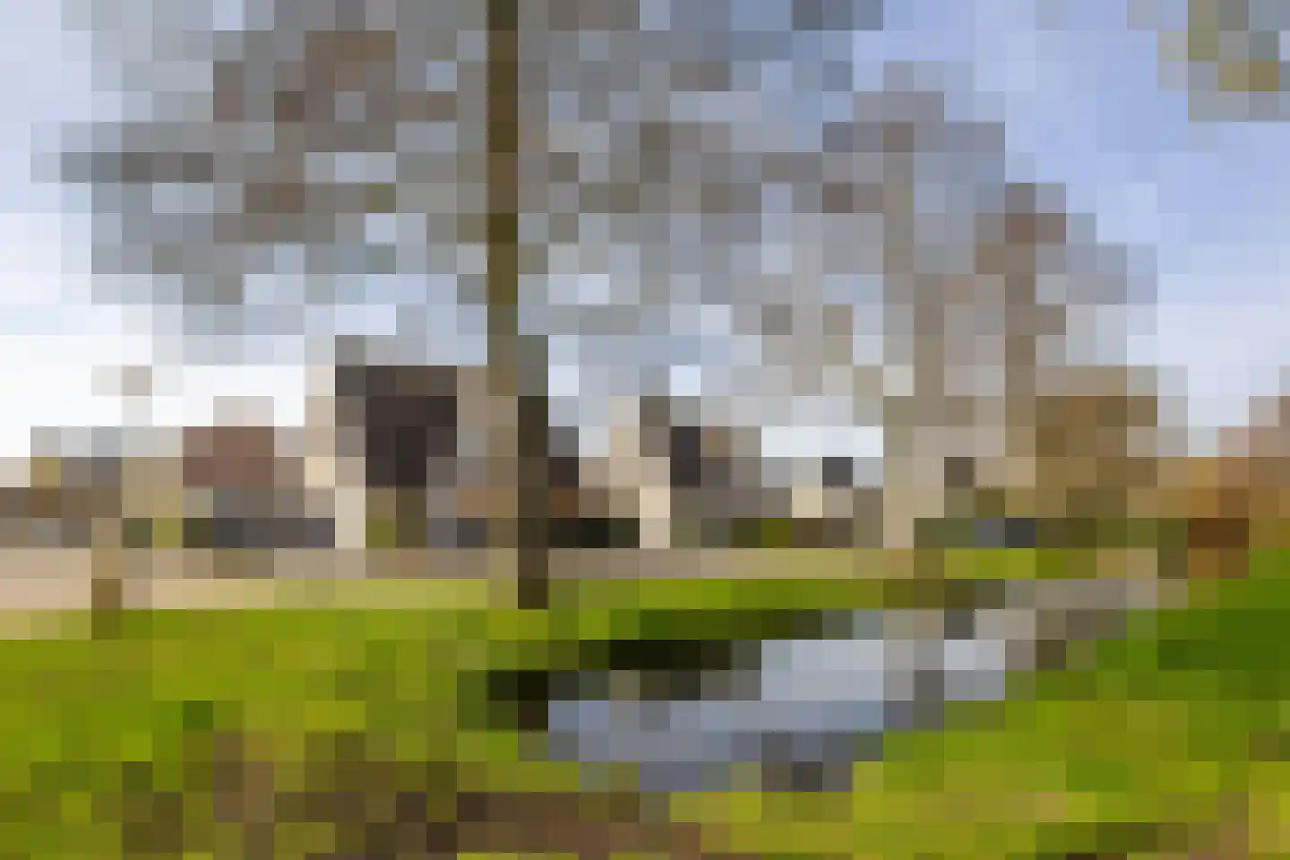 Batelier 55 Sliedrecht thumbnail 36