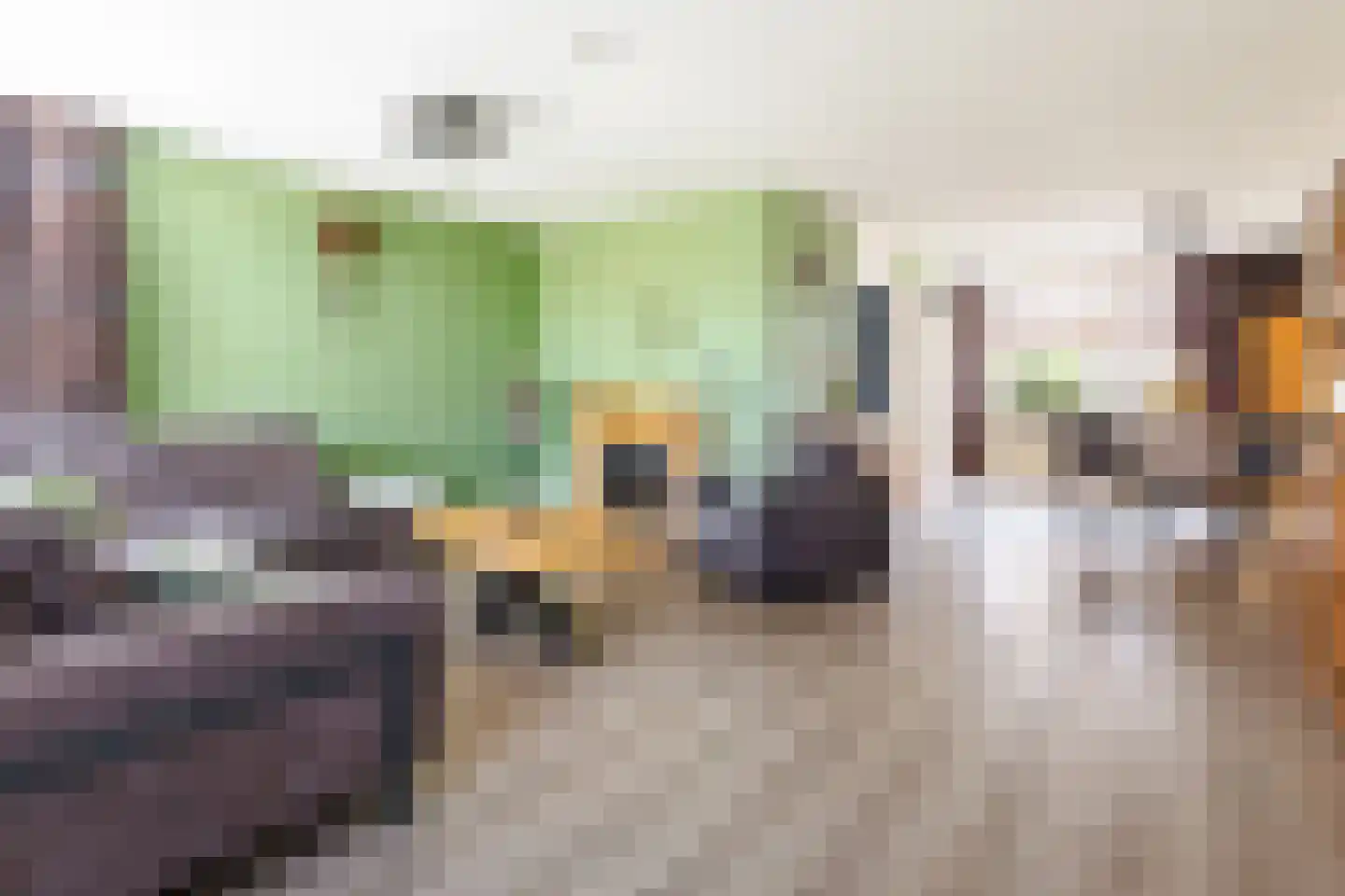 Batelier 55 Sliedrecht thumbnail 4