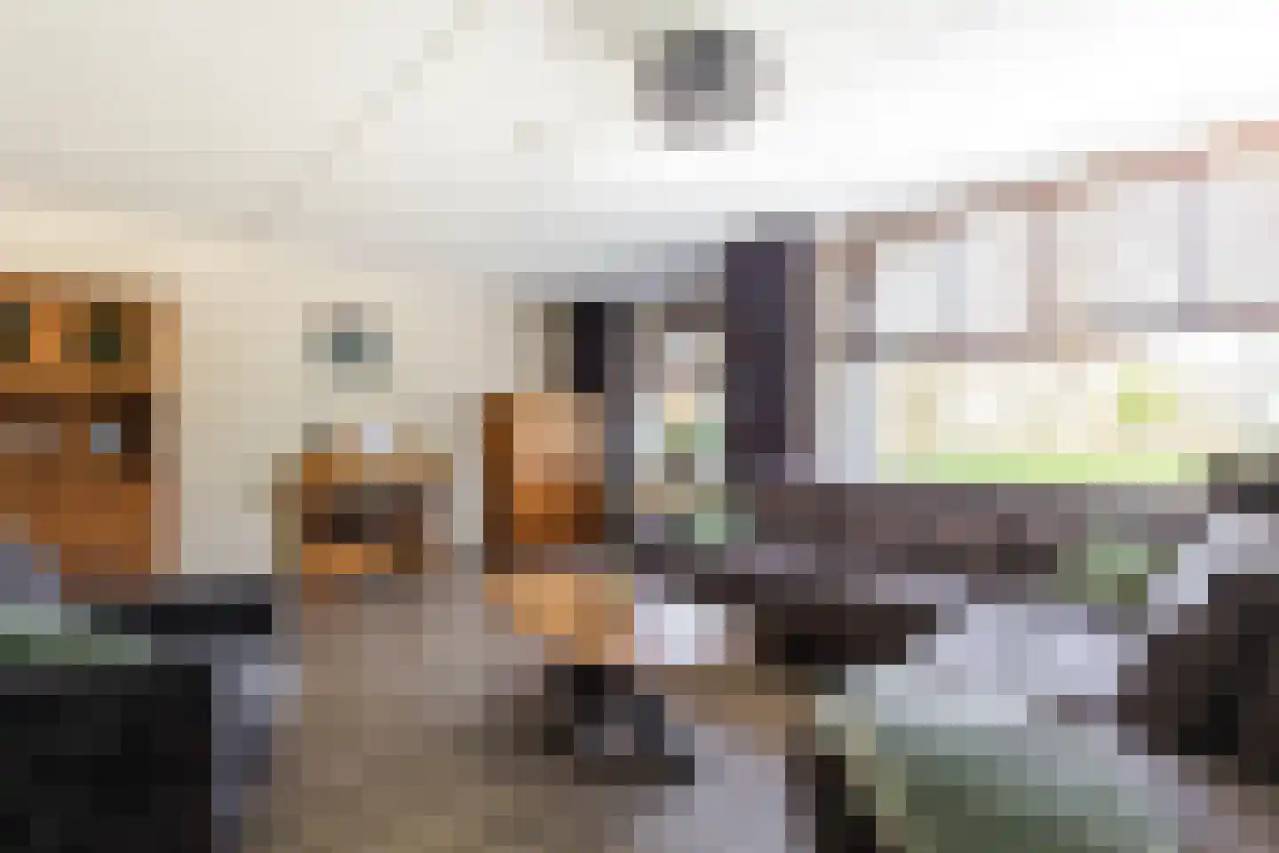 Batelier 55 Sliedrecht thumbnail 5