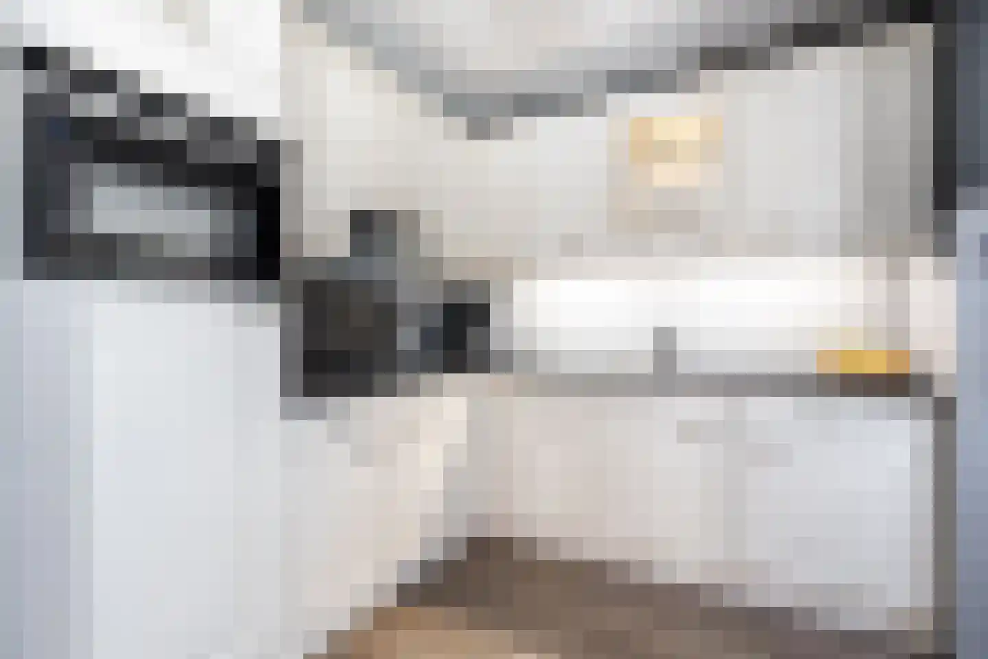 Batelier 55 Sliedrecht thumbnail 8