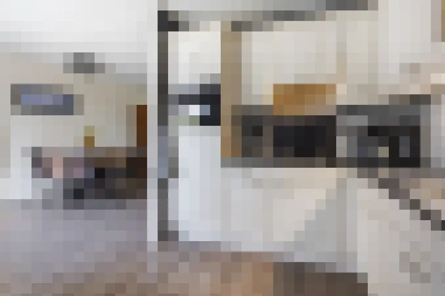 Batelier 55 Sliedrecht thumbnail 9