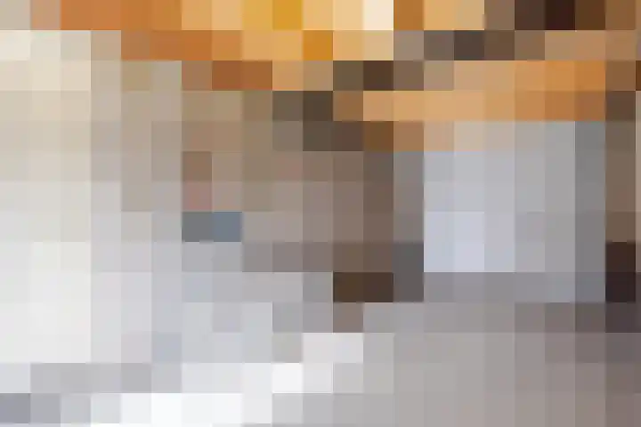 Batelier 73 Sliedrecht thumbnail 11