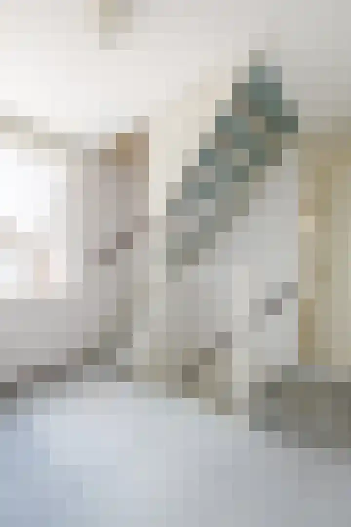 Batelier 73 Sliedrecht thumbnail 13
