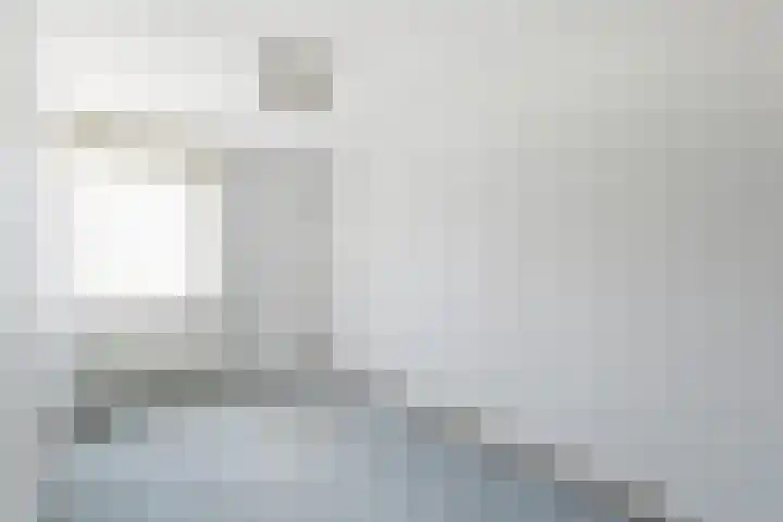 Batelier 73 Sliedrecht thumbnail 16
