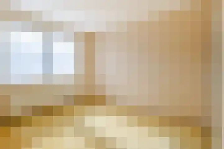 Batelier 73 Sliedrecht thumbnail 17