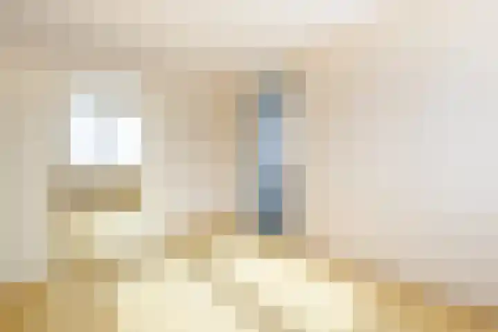 Batelier 73 Sliedrecht thumbnail 18