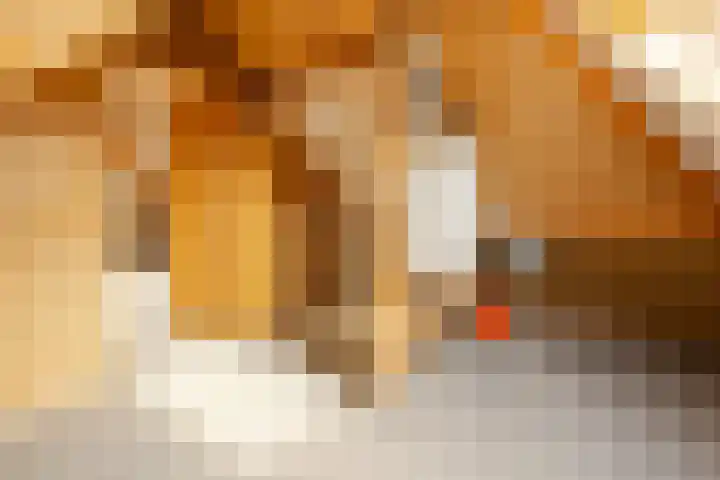 Batelier 73 Sliedrecht thumbnail 21