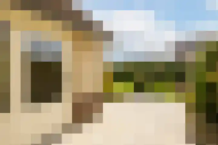 Batelier 73 Sliedrecht thumbnail 24